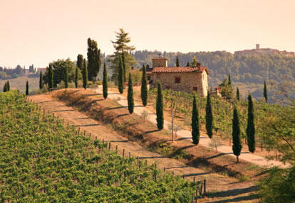 wine-tours-chianti.jpg